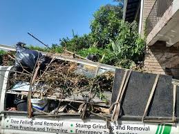 Best Commercial Junk Removal in Seagraves, TX